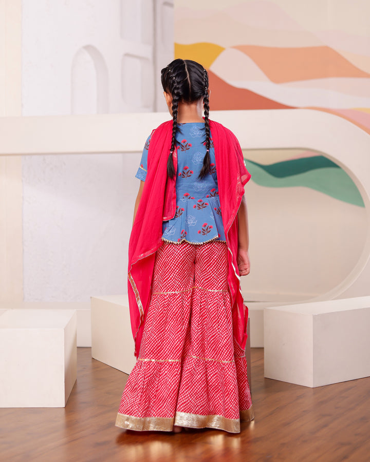 Girls Blue & Red Floral Peplum Sharara Set (Set of 3)